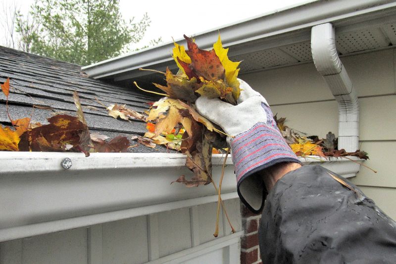 Fall Roof Maintenance